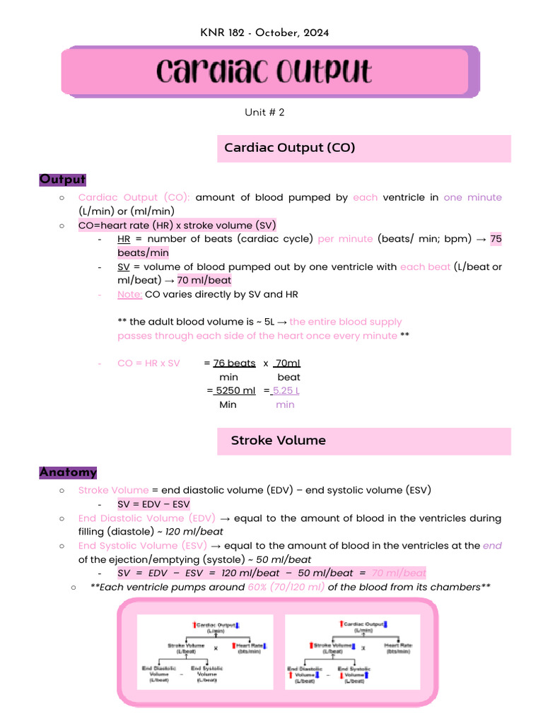 Cardiac Cycle and Output Overview | PDF | Heart | Diastole