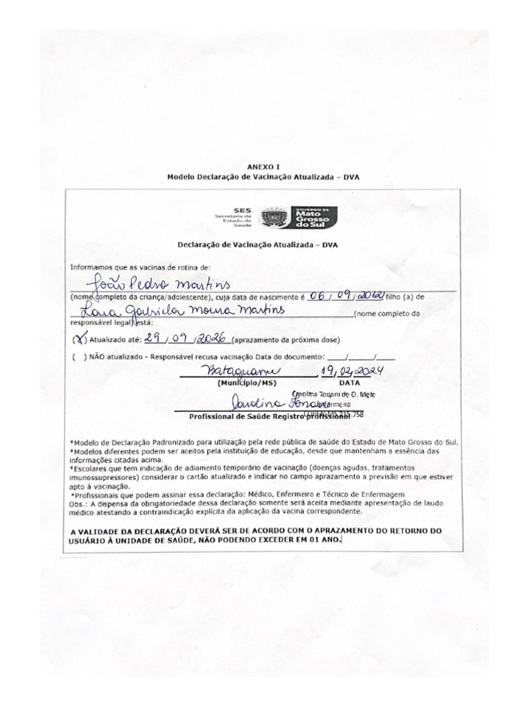 Modelo Declaração de Vacinação Atualizada - DVA | PDF