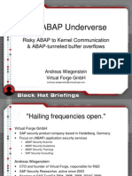 The ABAP Under Verse - Slides