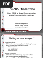 The ABAP Under Verse - Slides