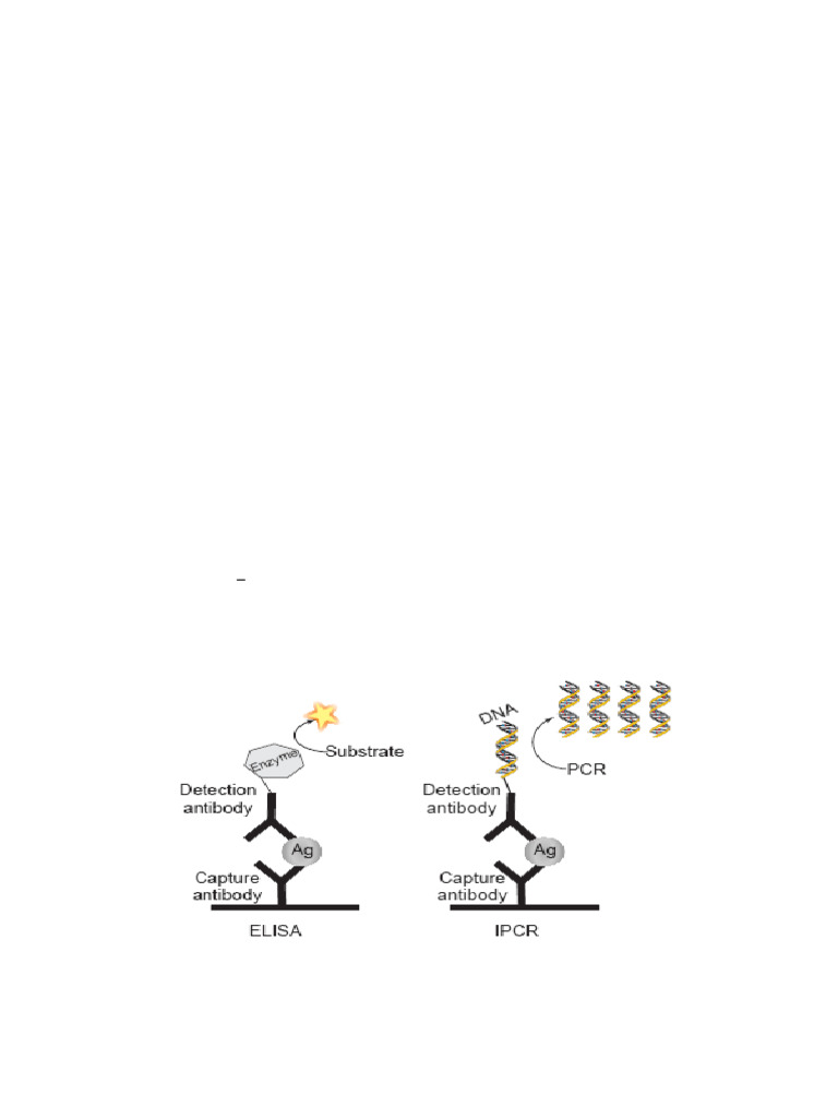 Immuno PCR Converted | PDF | Polymerase Chain Reaction | Elisa