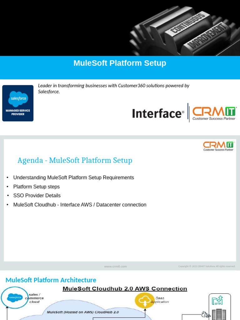 MuleSoft Platform Setup Guide | PDF