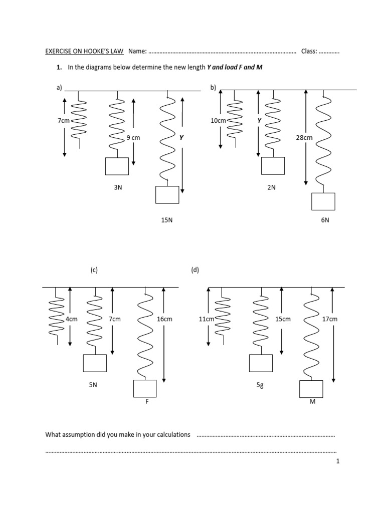 Exercise On Hookes Law | PDF