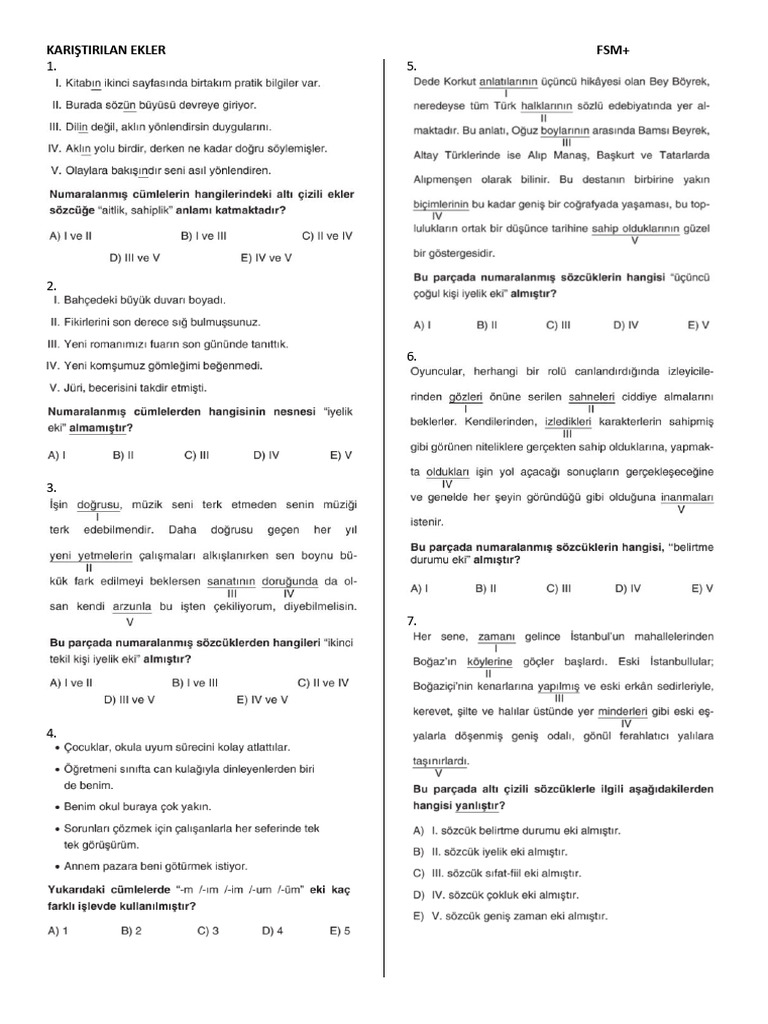 Kariştirilan Ekler Test | PDF