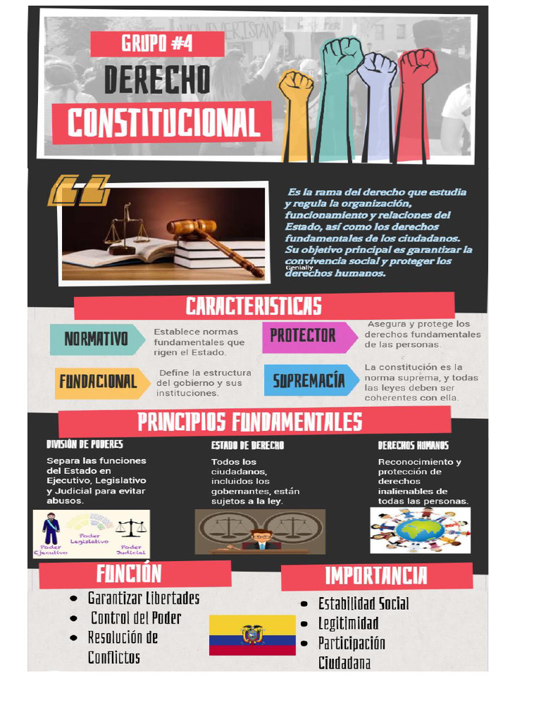Infografia Derecho Constitucional | PDF