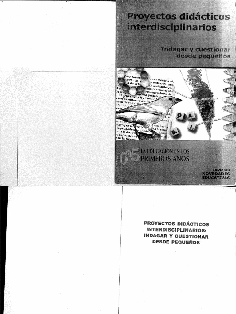 Proyectos Didacticos Interdisciplinarios | PDF