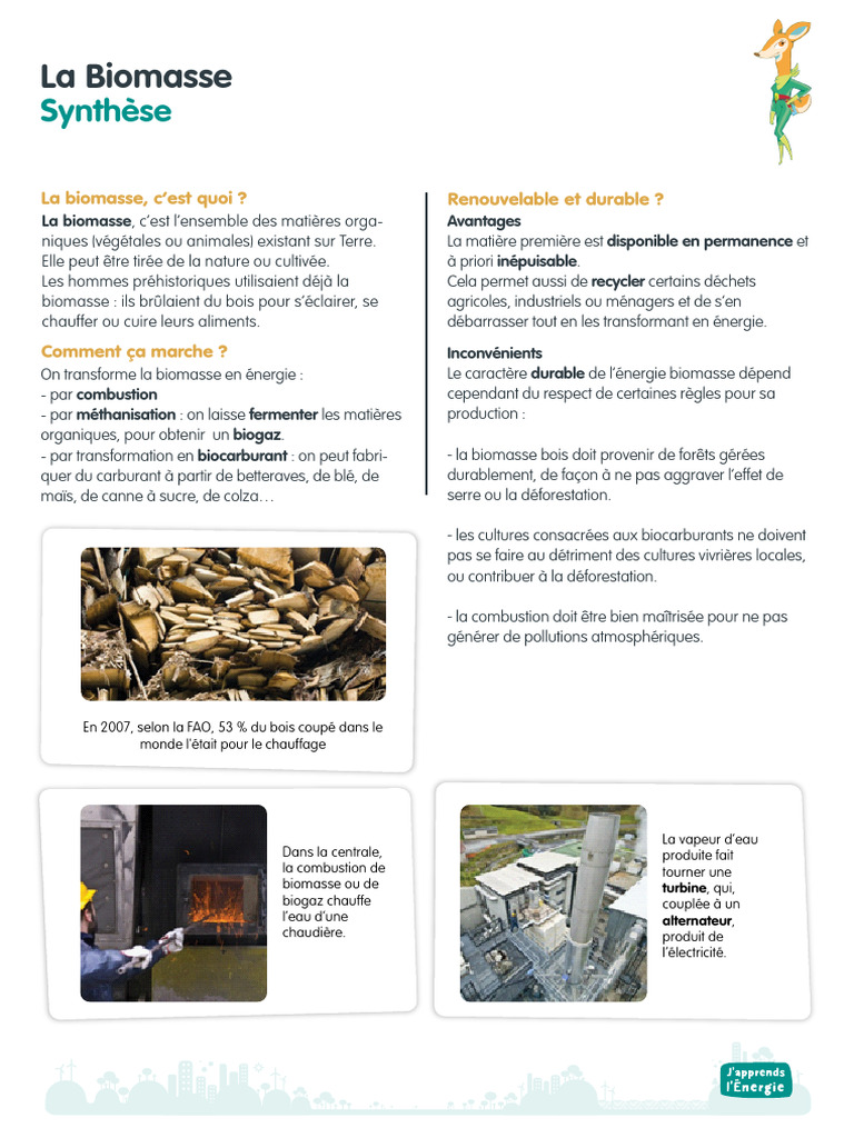Biomasse : Énergie renouvelable et durable | PDF | Biomasse (énergie ...