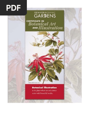 Botanical Illustration January June 2009 Drawing - 