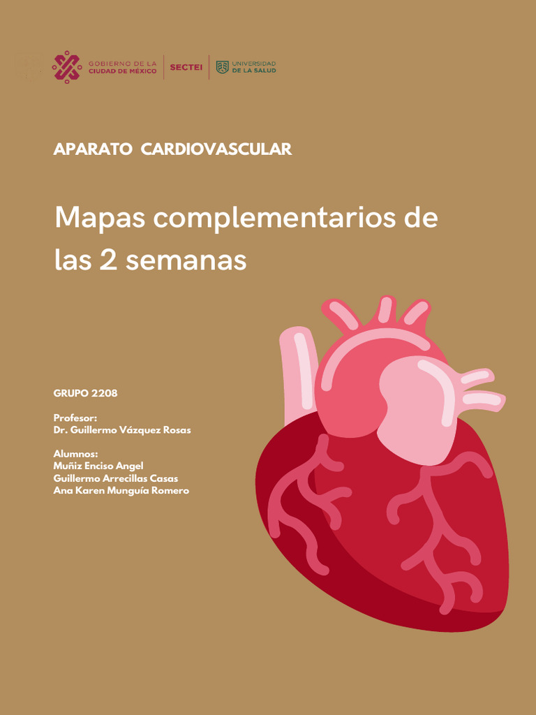 Aparato Cardiovascular Mapas Conceptuales | PDF | Corazón | Ventrículo ...