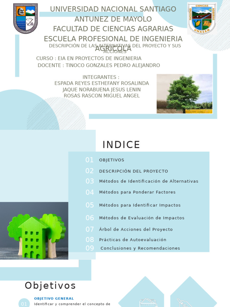 Evaluación de Impacto Ambiental en Proyectos | PDF | Evaluación de ...
