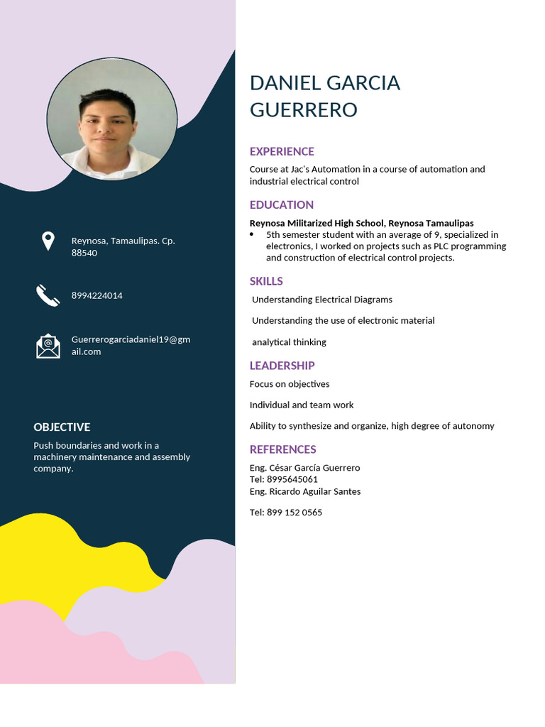 Curriculum Vitae Daniel Garcia | PDF