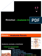 Rinichiul Anatomie Corelativa