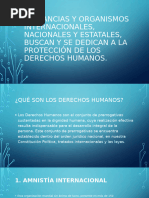 Instituciones de Derechos Humanos en Guatemala | PDF | Constitución ...