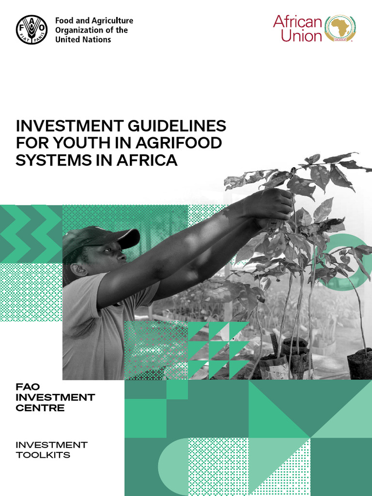 Investment Guidelines For Youth in Agrifood Systems in Africa | PDF ...