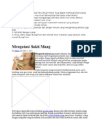 Download Bagaimana Cara Mengatasi Perut Mual by Alten Damai Gandja SN80562505 doc pdf