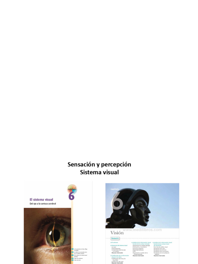 26 Visión Pdf Percepción Visual Ojo Humano