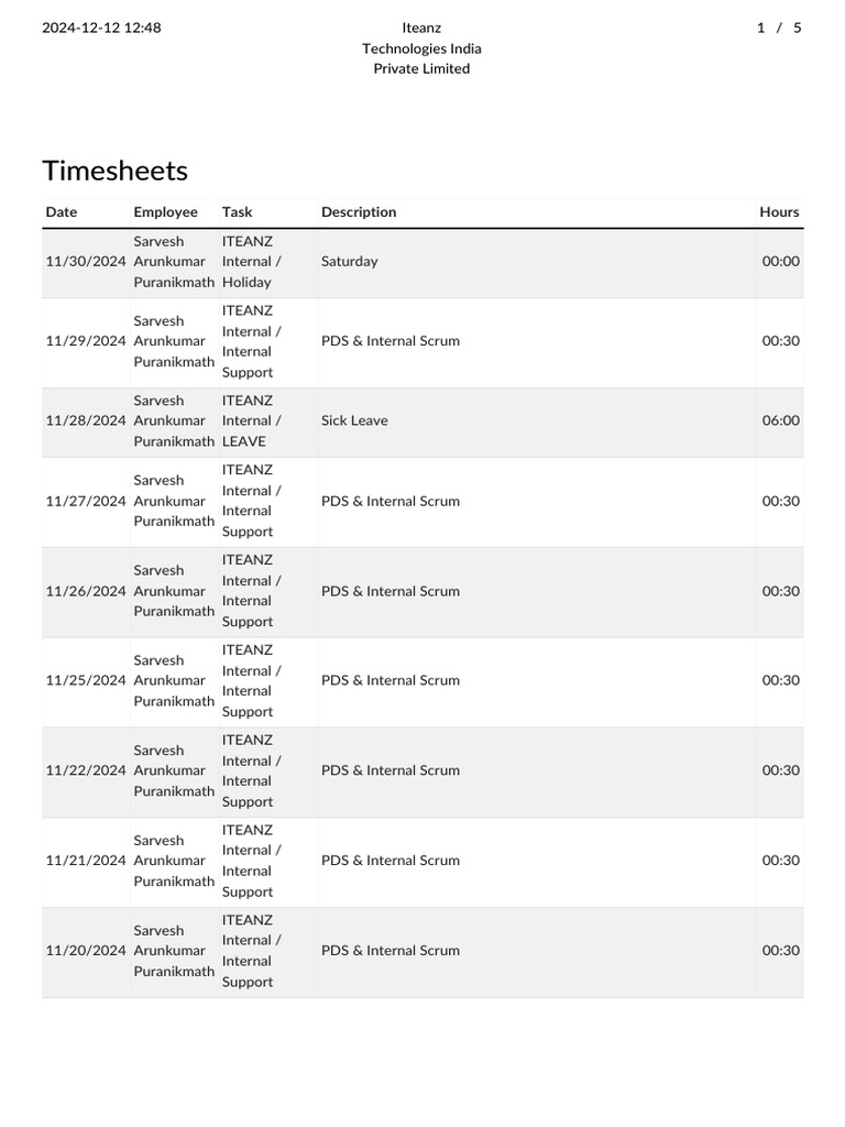 ITEANZ Employee Timesheet Records | PDF