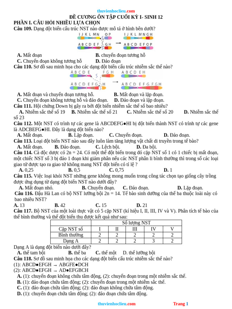 De Cuong On Tap Cuoi HK1 Sinh 12 CTST 24 25 | PDF