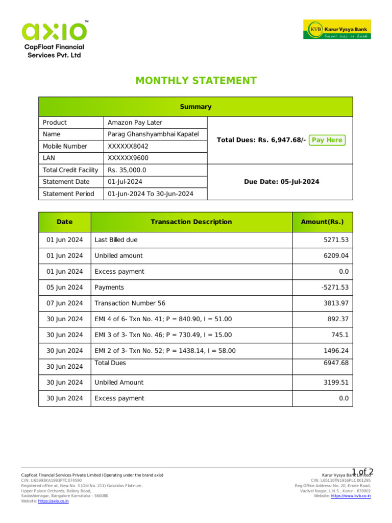 Amazon Pay Later Statement | PDF | Banking Technology | Services ...