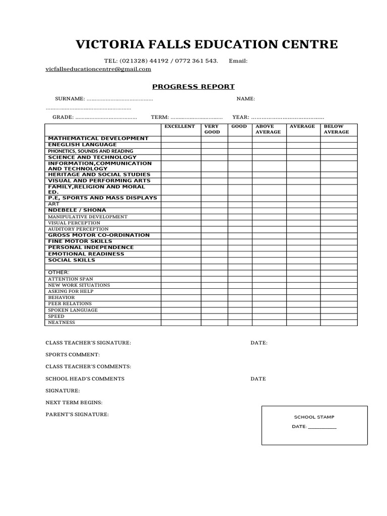 ECD Progress Report Template | PDF
