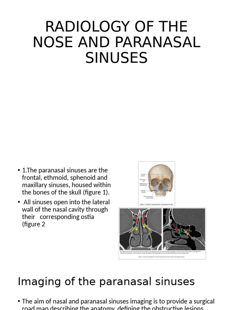 Nasal cavity | PDF | Human Nose | Human Head And Neck