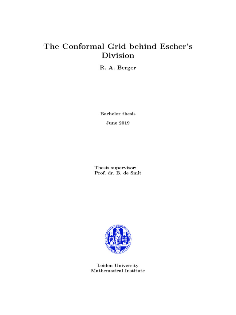 Escher's Division: Grid and Vector Analysis | PDF | Mathematical ...