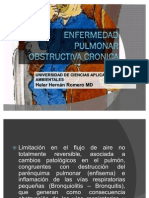 Enfermedad Pulmonar Obstructiva Cronica