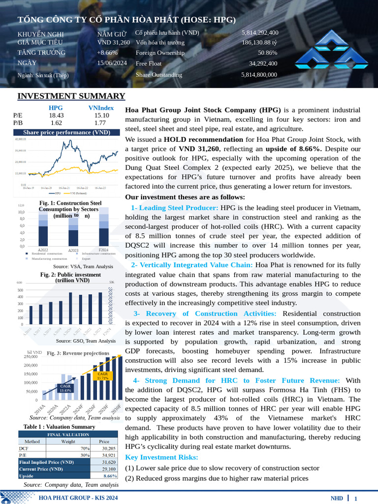 HPG Report | PDF | Capital Structure | Steelmaking