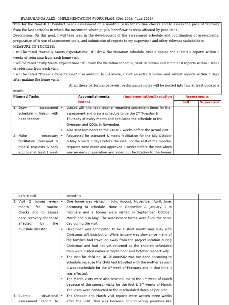 Individual Work Plan Template | PDF | Social Psychology