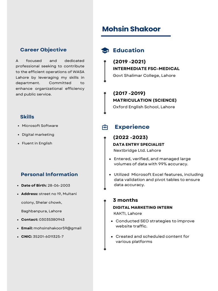Modern Minimalist CV Resume | PDF