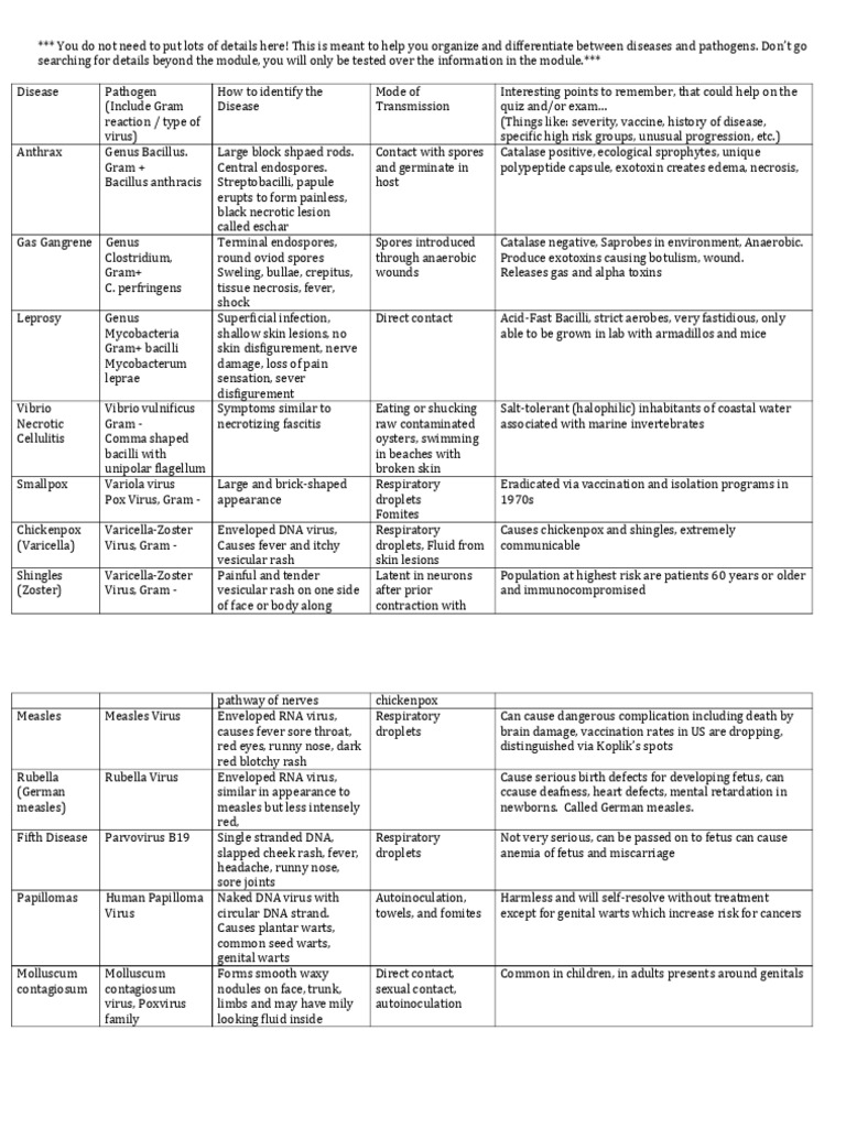 Skin Infection and Rashes | PDF | Bacillus | Health Sciences