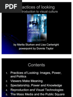 Download Practices of Looking by Andrea Plos SN80575961 doc pdf