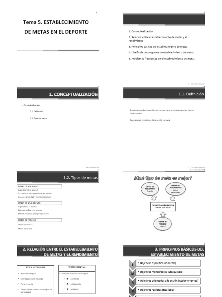 Establecimiento Efectivo de Metas | PDF | Planificación | Evaluación