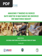 Umushinga w'Ubworozi bw'Ingurube | PDF
