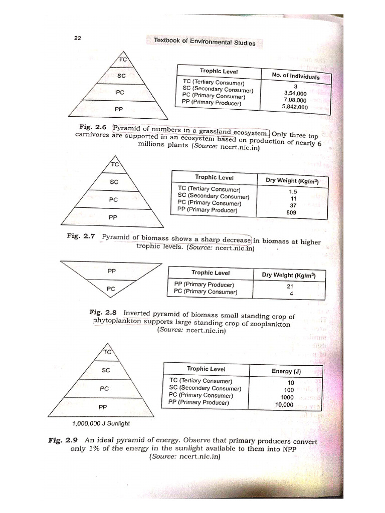 Manufacturing Process | PDF