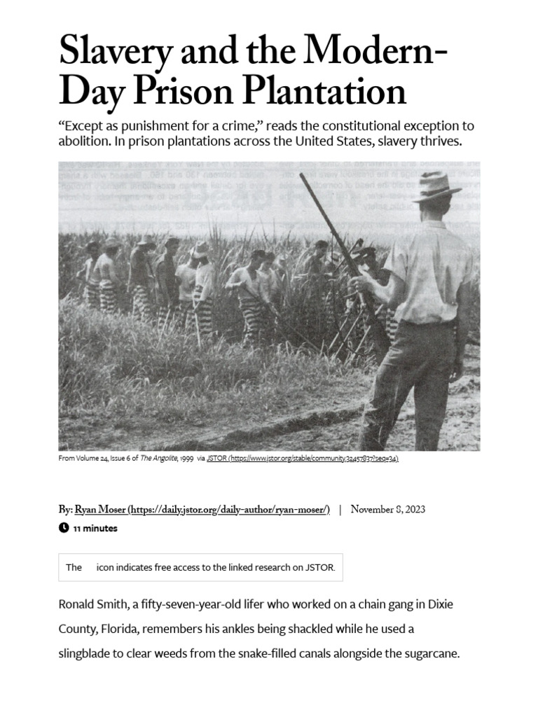 Modern-Day Prison Plantations Explained | PDF | Slavery In The United ...