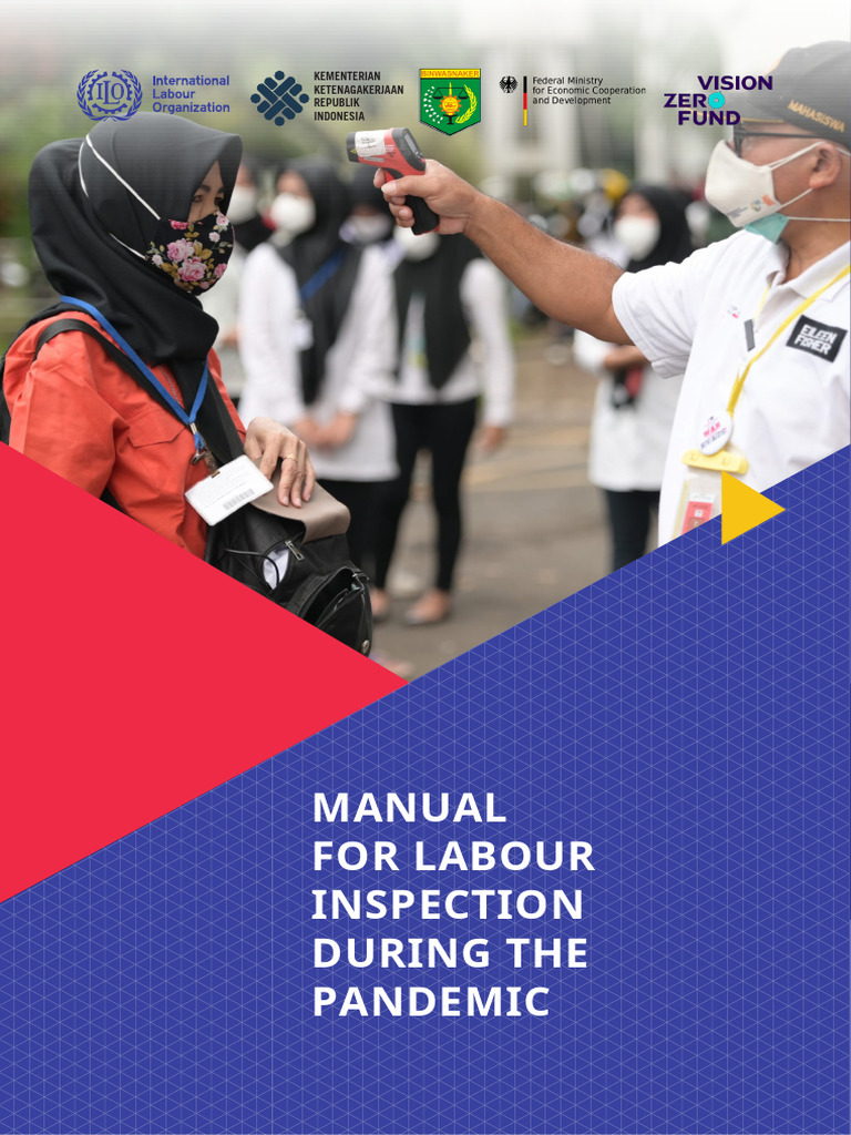 Labour Inspection Sweep | PDF | Occupational Safety And Health | Labour ...