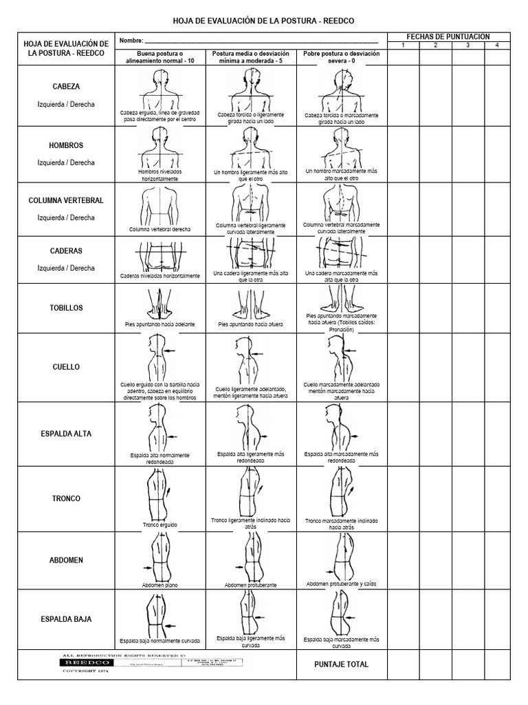 Evaluación de Postura - Reedco | PDF | La columna vertebral | Anatomía ...