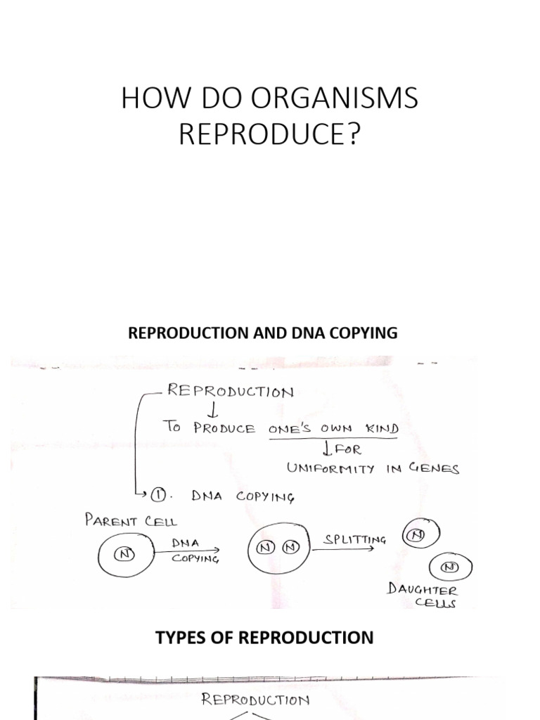 Types of Reproduction in Organisms | PDF