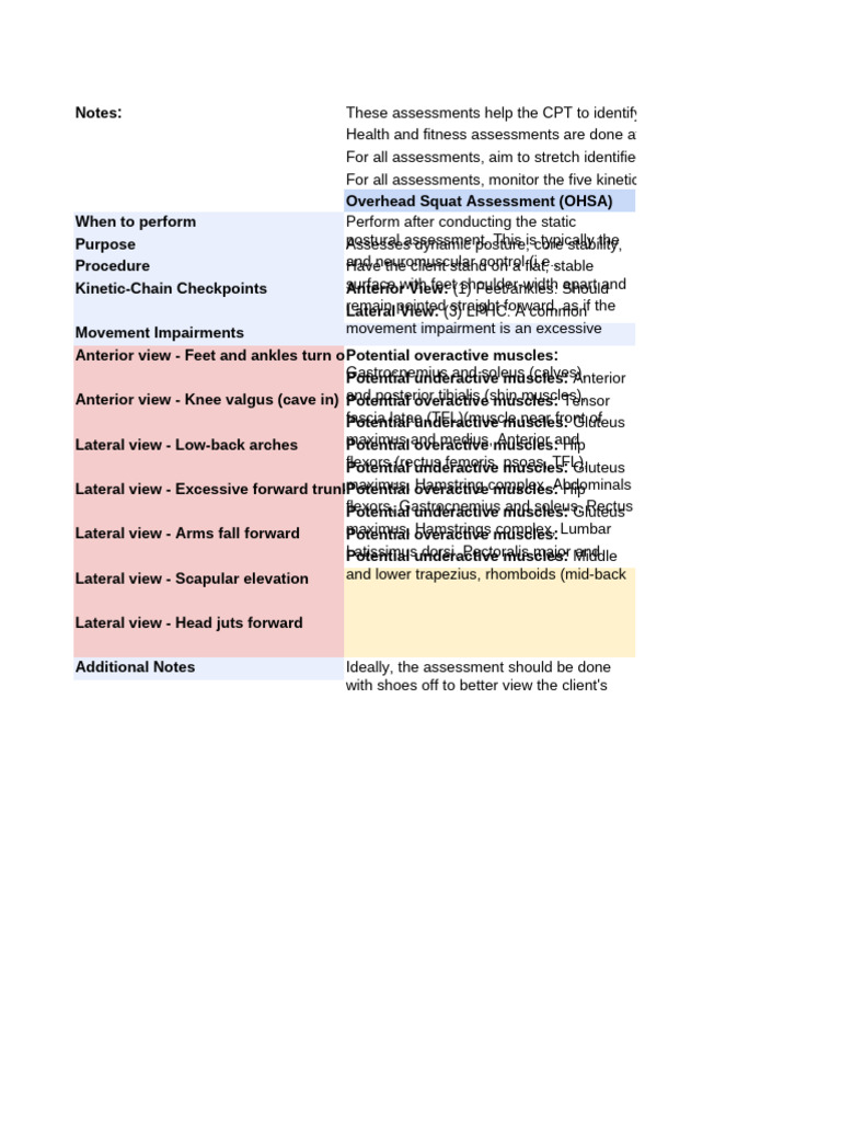 Kinetic Chain Checkpoints Overview | PDF | Foot | Neck