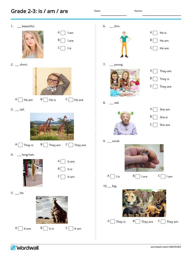 Grade 2 3 Is Am Are Quiz | PDF