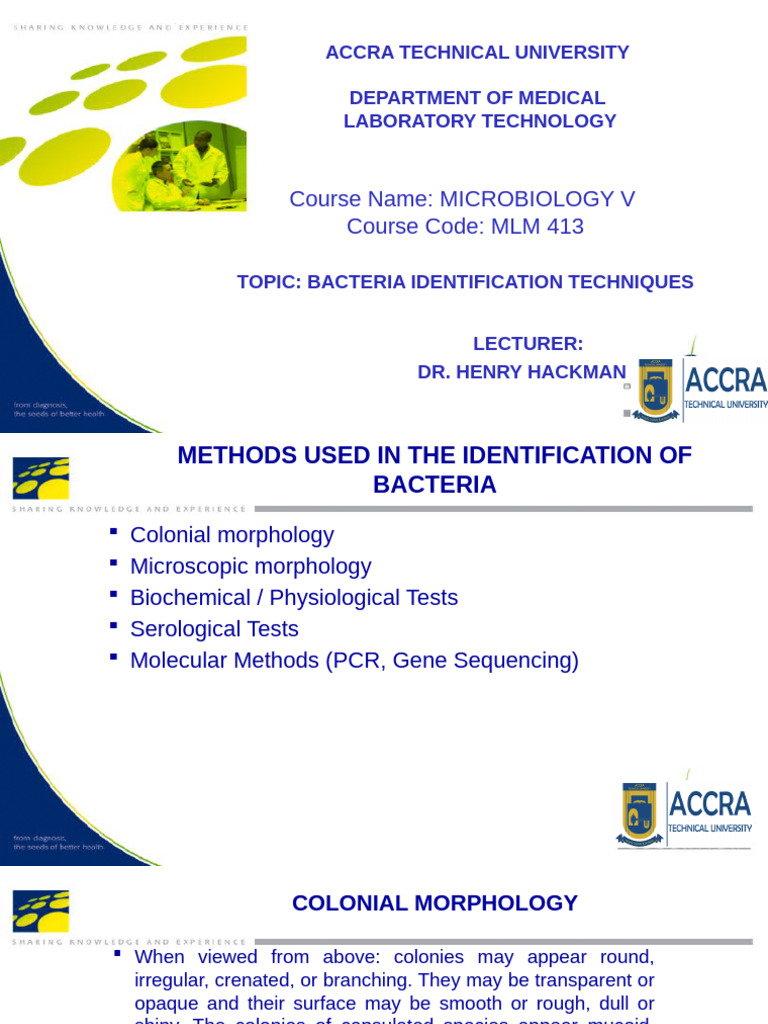 Bacteria Identification Techniques Guide | PDF | Bacteria | Microbiology