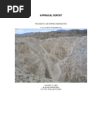 Download Western Utah Copper property appraisal Milford Utah by Russell Hartill SN8058165 doc pdf