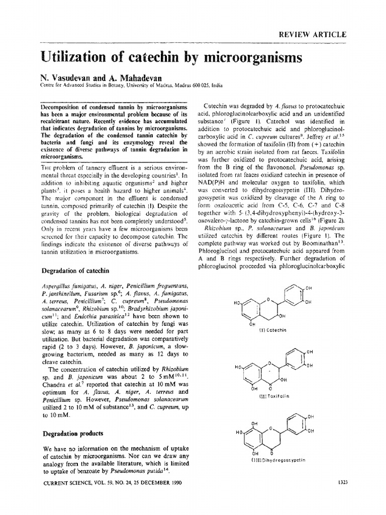 Vasudevan 1990 | PDF
