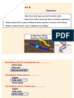 1 DNA Structure