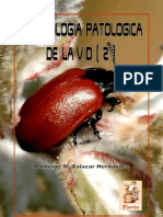 Entomología Patológica de la Vid. Parte II