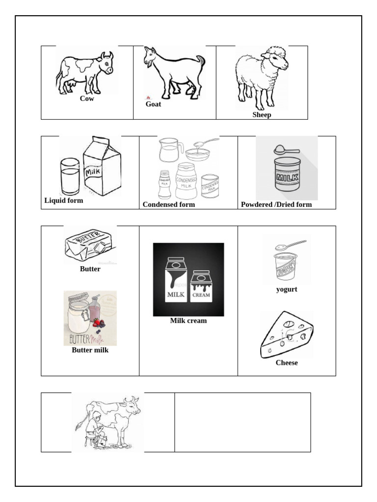 Dairy Products and Delivery Methods | PDF