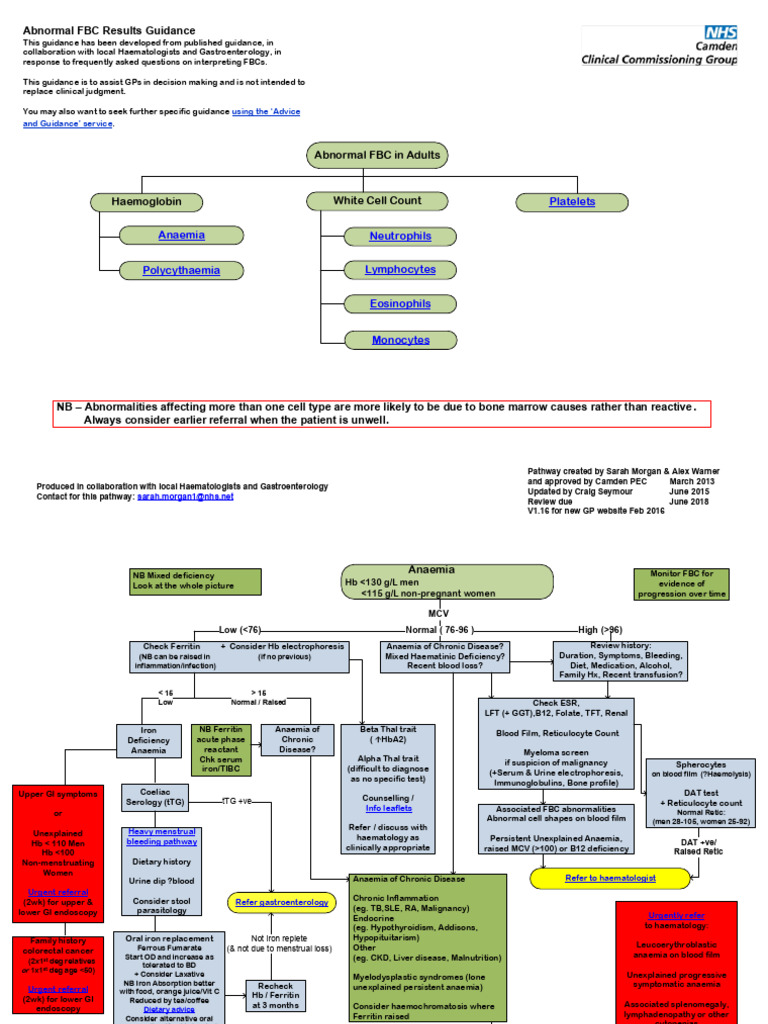 CCC1+Test+Interpretations+Pre Lecture+Material | PDF | Anemia | White ...