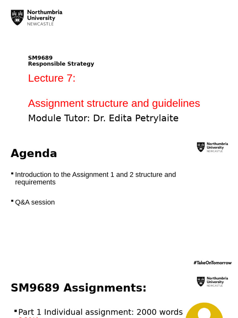 SM9689 Responsible Strategy Assignment Guide | PDF | Corporate Social ...