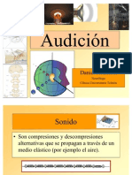 Audicion